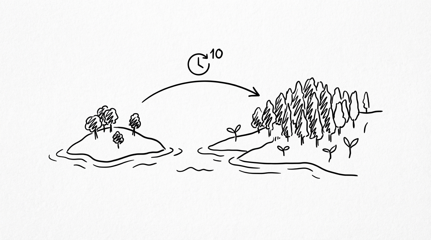 離れ小島の自毛植毛は10年後も残り続けます