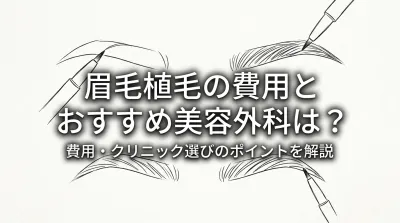 眉毛植毛の費用とおすすめ美容外科は？