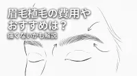 眉毛植毛の費用やおすすめは？痛くないかも解説