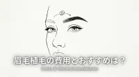 眉毛植毛の費用とおすすめは？