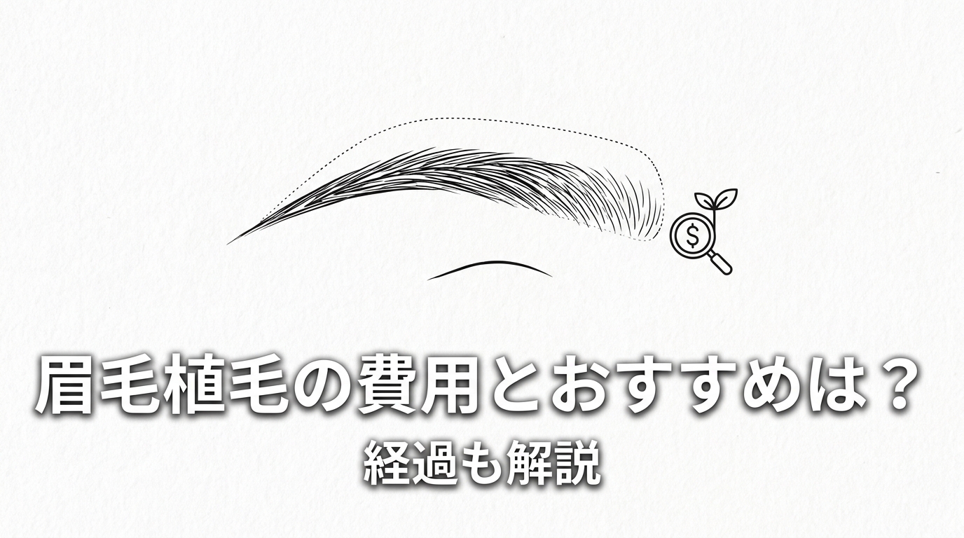 眉毛植毛の費用とおすすめは？経過も解説