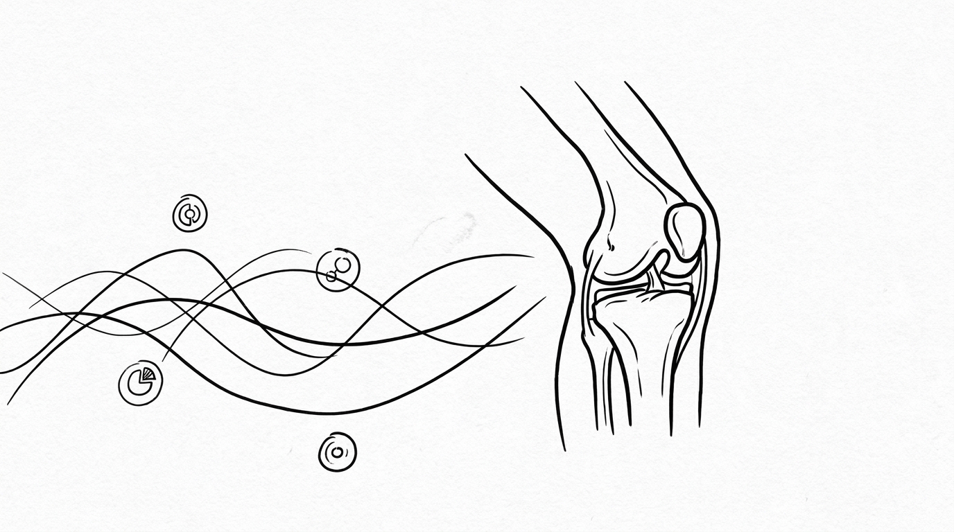 効果発現の具体的なタイムライン